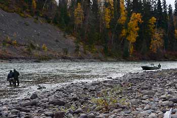 Last Dollar Ranch pool