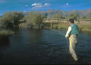 fly fishing fly casting fishing tuition