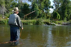 trout casting