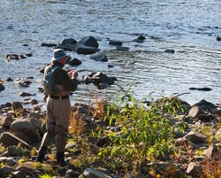 Evening trout fishing