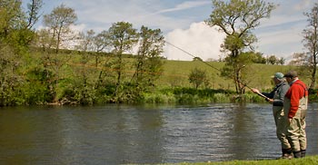Spey casting fly lines