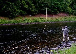 Spey lines for salmon and steelhead fly fishing