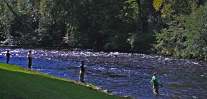 Trout fly fishing school