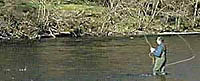double spey cast tuition