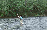 how to spey cast