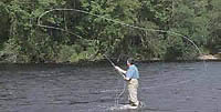 spey casting scotland