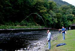 Fly fishing school 